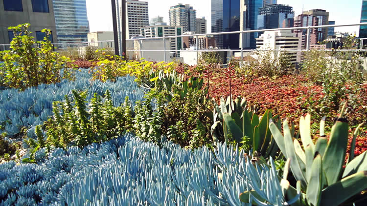 Rooftop-garden-Condor-Tower-Sydney-in-Australia