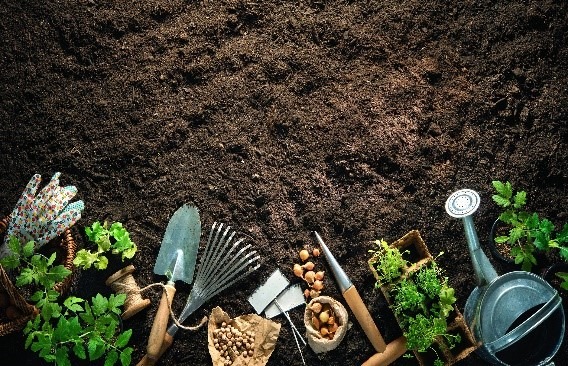 Garden Path Trends for 2023: Mulch