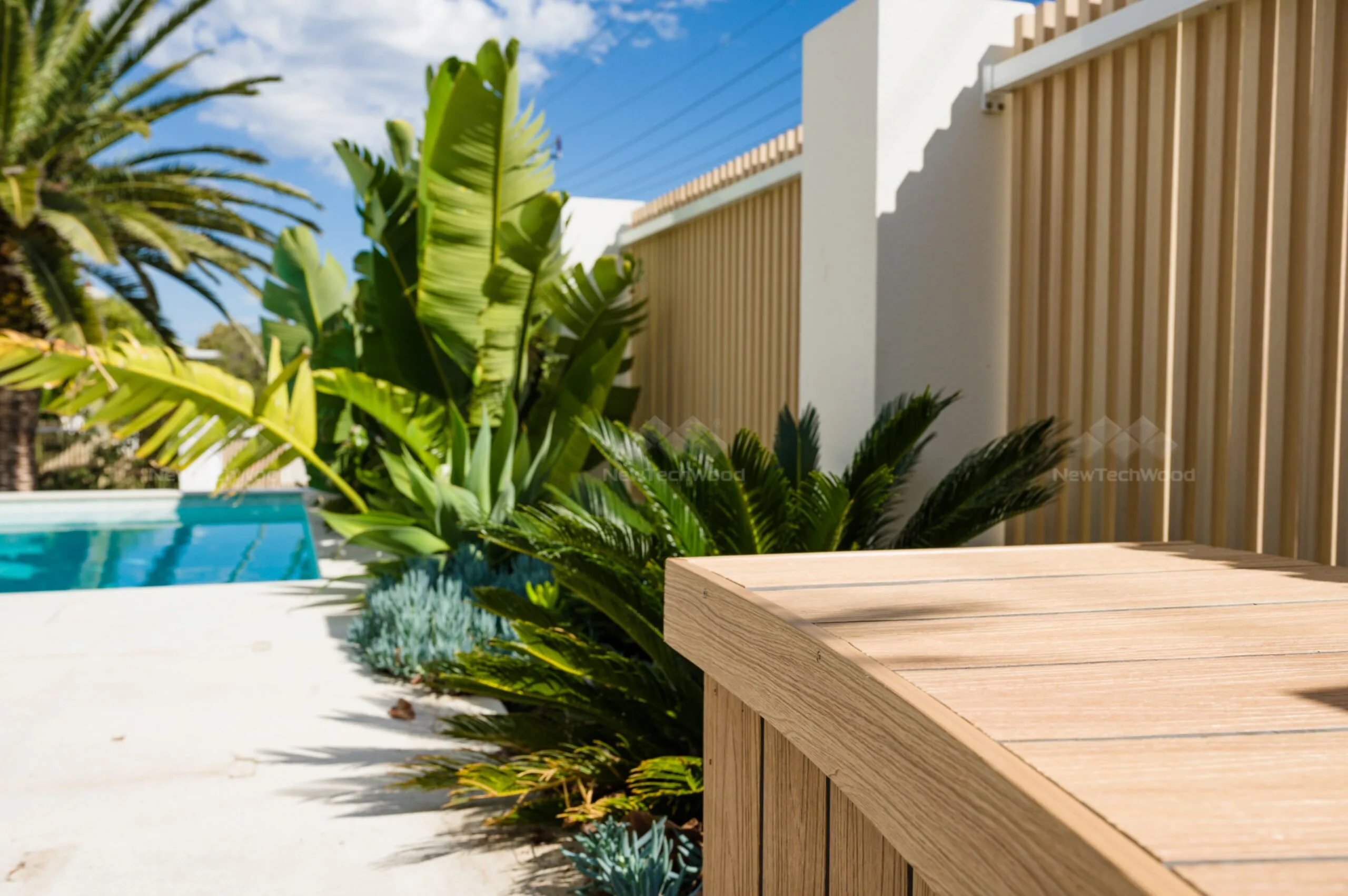 A serene poolside seating area featuring a composite timber bench, lush greenery, and a stylish privacy screen, blending modern landscaping with resort-like relaxation.